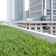 Image for article titled Rainwater Tanks and Green Roofs Could Be the Best Way to Avoid More of Last Week's LA Mudslides